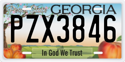 GA license plate PZX3846