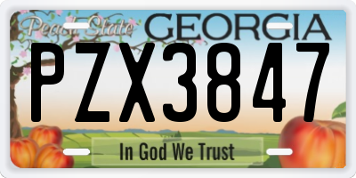 GA license plate PZX3847