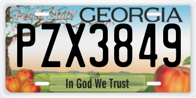 GA license plate PZX3849