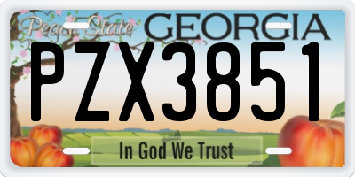 GA license plate PZX3851