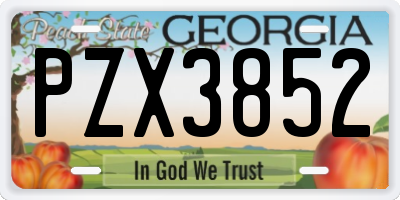 GA license plate PZX3852