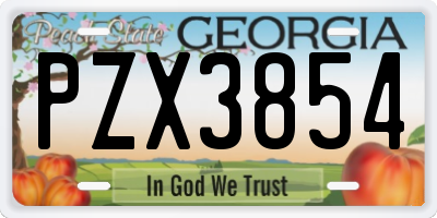 GA license plate PZX3854