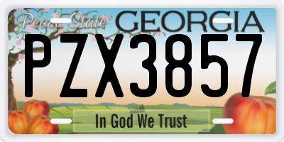 GA license plate PZX3857