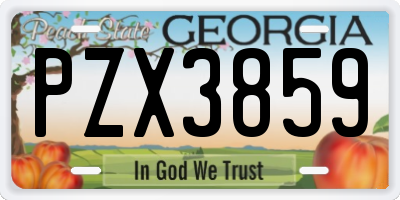 GA license plate PZX3859