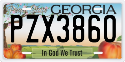 GA license plate PZX3860