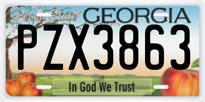 GA license plate PZX3863