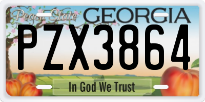 GA license plate PZX3864