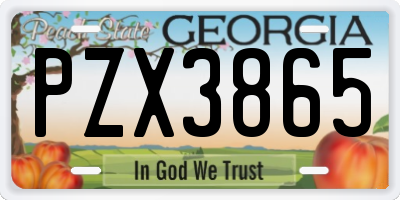 GA license plate PZX3865