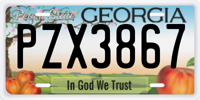 GA license plate PZX3867