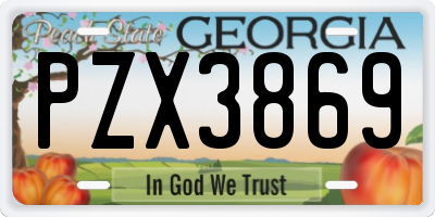 GA license plate PZX3869