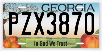 GA license plate PZX3870