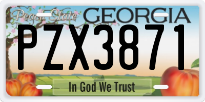 GA license plate PZX3871