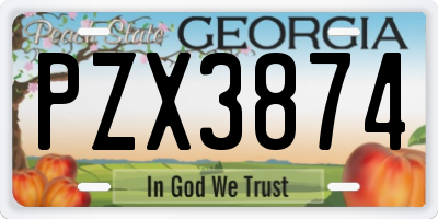 GA license plate PZX3874