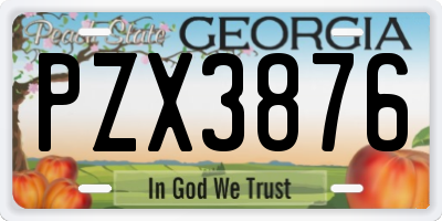 GA license plate PZX3876