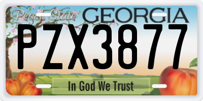 GA license plate PZX3877
