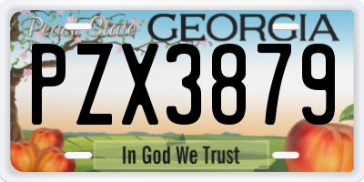 GA license plate PZX3879