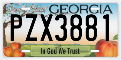 GA license plate PZX3881