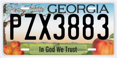 GA license plate PZX3883