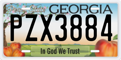 GA license plate PZX3884