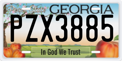 GA license plate PZX3885