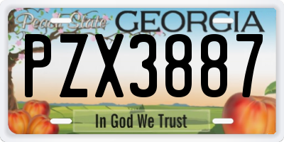 GA license plate PZX3887