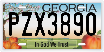 GA license plate PZX3890