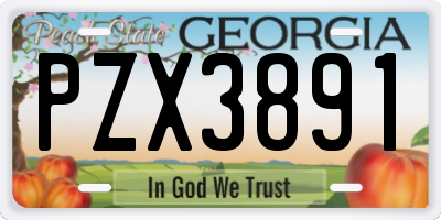 GA license plate PZX3891