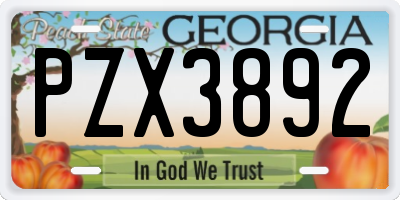 GA license plate PZX3892