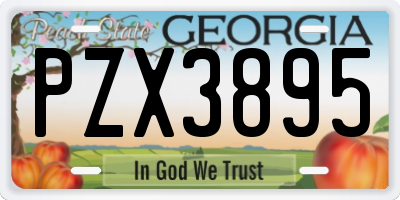 GA license plate PZX3895