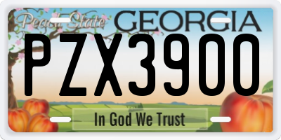 GA license plate PZX3900