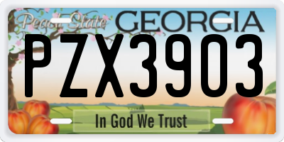 GA license plate PZX3903