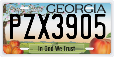GA license plate PZX3905
