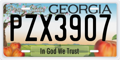 GA license plate PZX3907