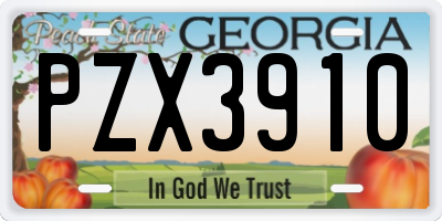 GA license plate PZX3910