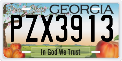 GA license plate PZX3913