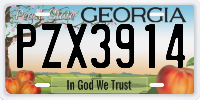 GA license plate PZX3914