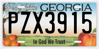 GA license plate PZX3915