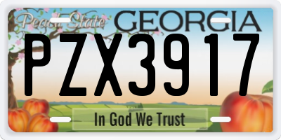 GA license plate PZX3917