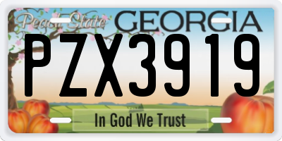GA license plate PZX3919