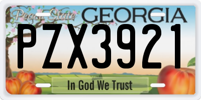 GA license plate PZX3921