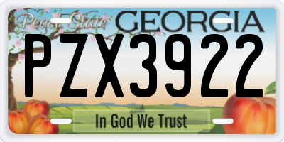 GA license plate PZX3922
