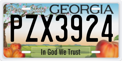 GA license plate PZX3924