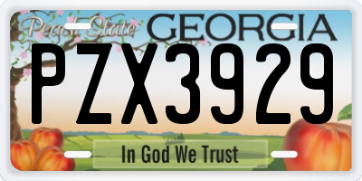 GA license plate PZX3929
