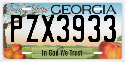 GA license plate PZX3933