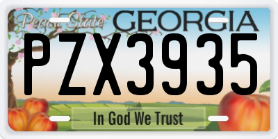 GA license plate PZX3935