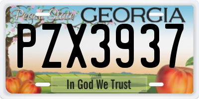 GA license plate PZX3937
