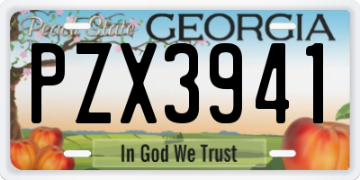 GA license plate PZX3941
