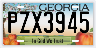GA license plate PZX3945