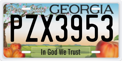 GA license plate PZX3953