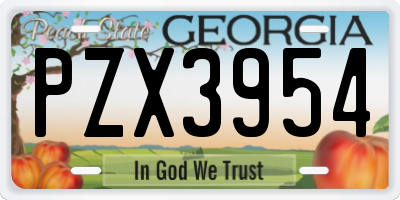 GA license plate PZX3954